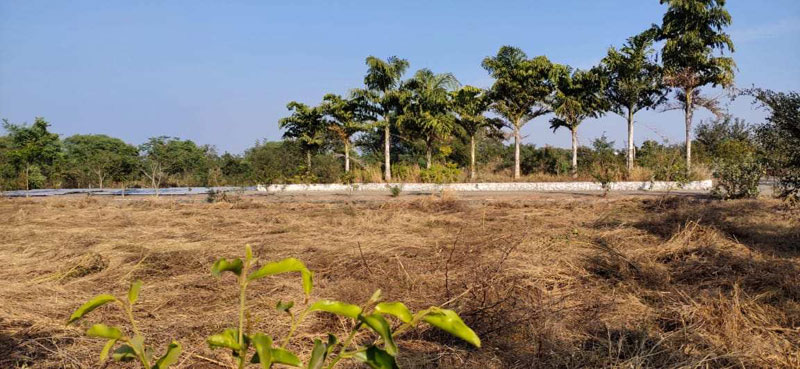  Residential Plot 1700 Sq.ft. for Sale in Old Dhamtari Road, Raipur