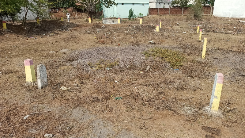  Residential Plot 1600 Sq.ft. for Sale in Sejbahar, Raipur