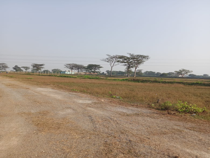  Residential Plot 1000 Sq.ft. for Sale in Sejbahar, Raipur