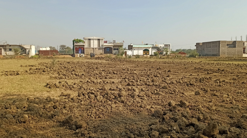  Residential Plot 1000 Sq.ft. for Sale in Boria Kalan, Raipur