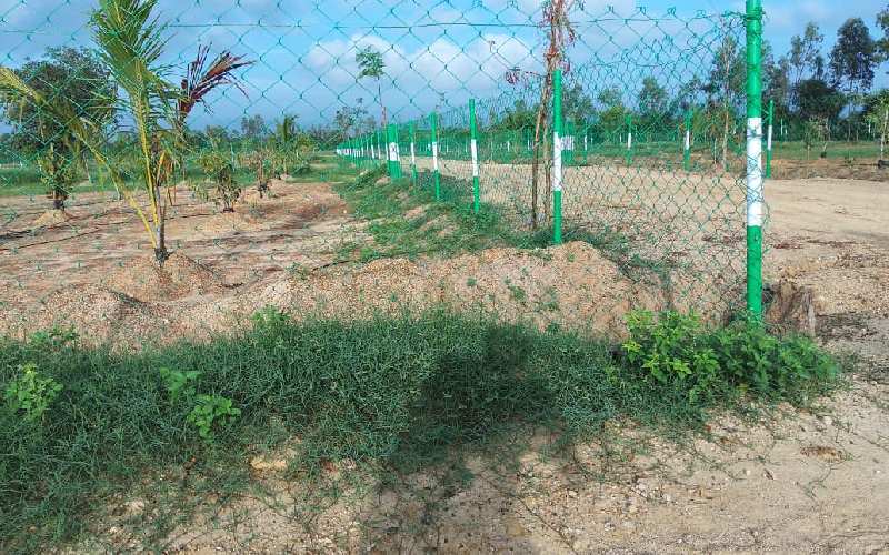  Agricultural Land 10000 Sq.ft. for Sale in Madhurandagam, Chennai