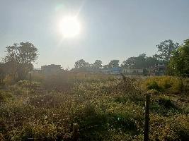  Residential Plot for Sale in Sukkad Road, Dharamsala