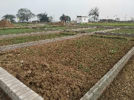  Agricultural Land for Sale in Naubatpur, Patna