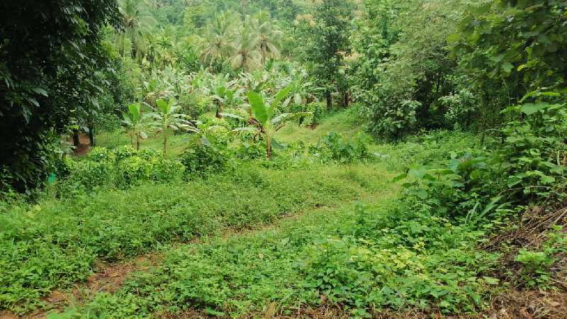  Residential Plot 50 Cent for Sale in Valanchery, Malappuram