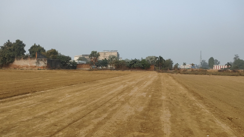  1000 Sq.ft. Residential Plot for Sale in Lucknow Faizabad Highway