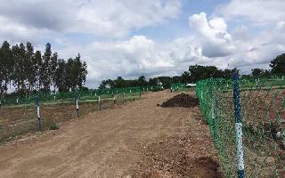  Agricultural Land for Sale in Valasaravakkam, Chennai