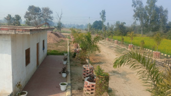  Residential Plot for Sale in Gosaiganj, Lucknow