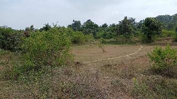  Agricultural Land for Sale in Baihar, Balaghat