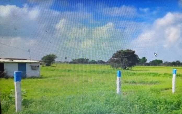  Agricultural Land 15 Ares for Sale in Dharapuram, Tirupur