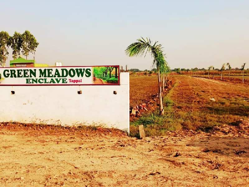  900 Sq.ft. Residential Plot for Sale in Tappal Greater Noida