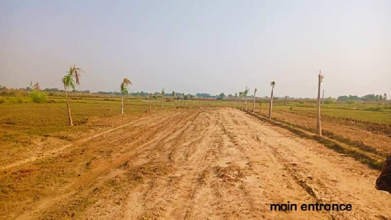  900 Sq.ft. Residential Plot for Sale in Tappal Greater Noida