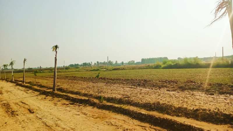  900 Sq.ft. Residential Plot for Sale in Tappal Greater Noida