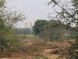  Residential Plot for Sale in Tonk Road, Jaipur