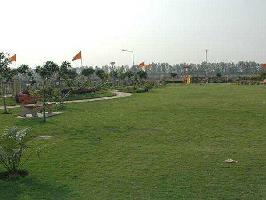  Residential Plot for Sale in Sector 16, Moradabad