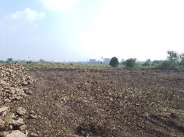  Agricultural Land for Sale in Pathardi, Nashik