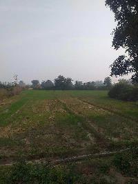  Agricultural Land for Sale in Siana, Bulandshahr