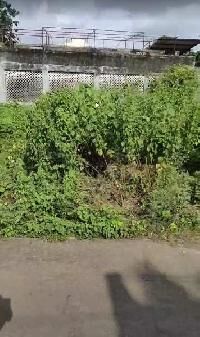  Residential Plot for Sale in Bardoli, Surat