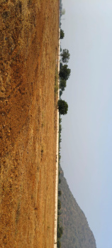  Residential Plot for Sale in Narasaraopet, Guntur