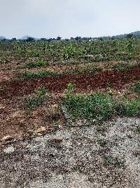  Agricultural Land for Sale in Podili, Prakasam
