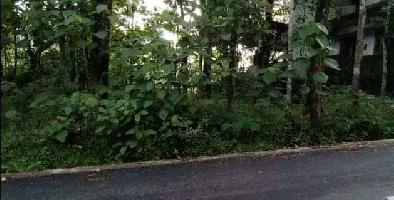  Commercial Land for Sale in Ranni, Pathanamthitta