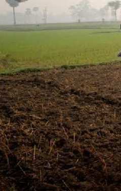 Agricultural Land 25000 Sq.ft. for Rent in Chapra, Saran