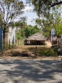  Residential Plot for Sale in Rajiv Nagar, Ariyalur