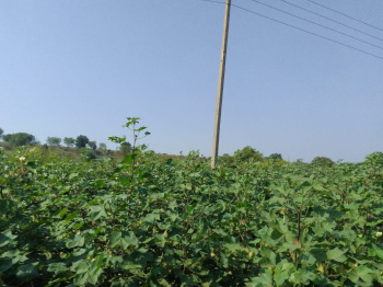  Agricultural Land for Sale in Chandur, Amravati