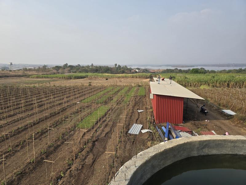  7 Acre Agricultural/Farm Land for Rent in Dindori, Nashik