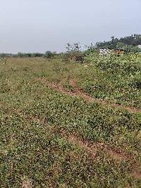  Commercial Land for Sale in Manubolu, Nellore