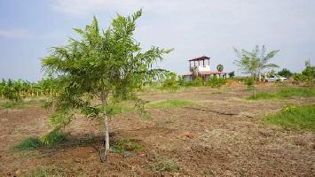  Agricultural Land for Sale in Srivaikuntam, Thoothukudi