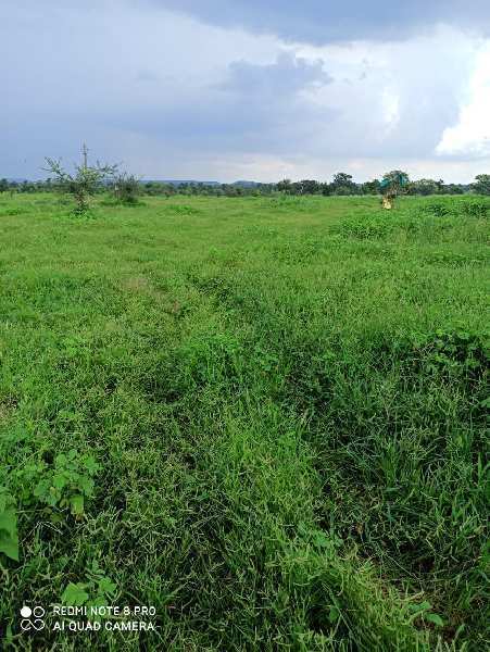Agricultural Land 20 Acre for Sale in Katol, Nagpur