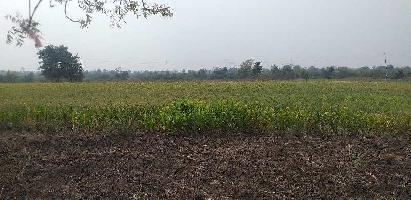  Agricultural Land for Sale in Saoner, Nagpur