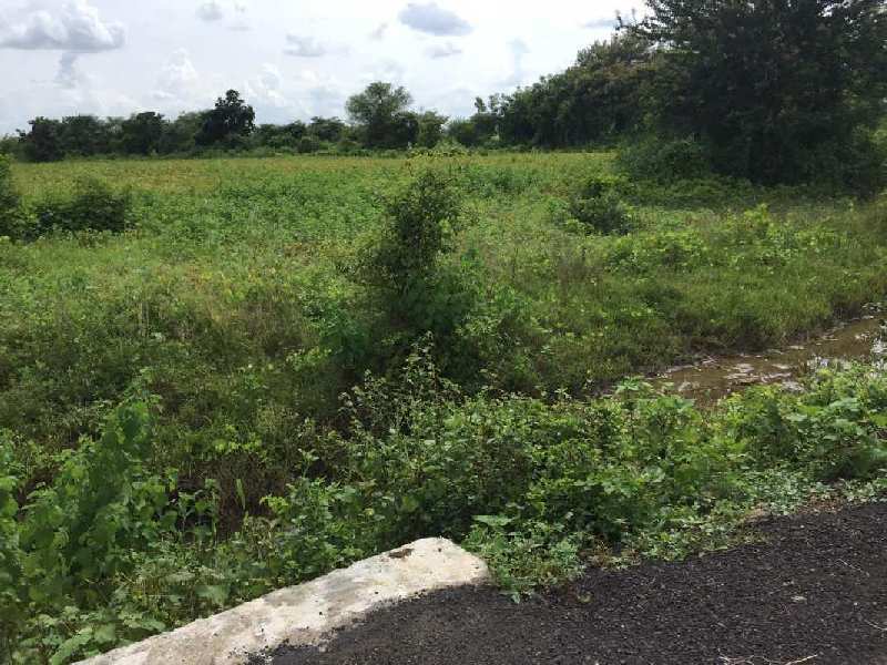 Agricultural Land 4 Acre for Sale in Katol, Nagpur