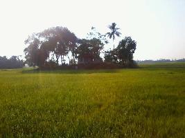  Residential Plot for Sale in Kuttanad, Alappuzha