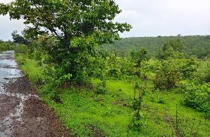  Agricultural Land for Sale in Mhasla, Raigad