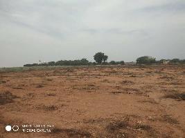  Agricultural Land for Sale in Balanagar, Mahbubnagar