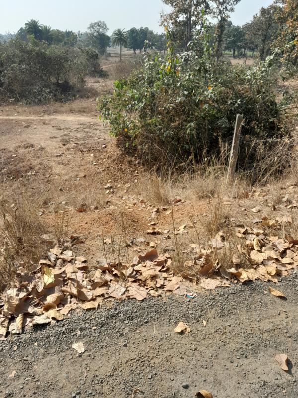  Industrial Land 100 Bigha for Sale in Barjora, Bankura