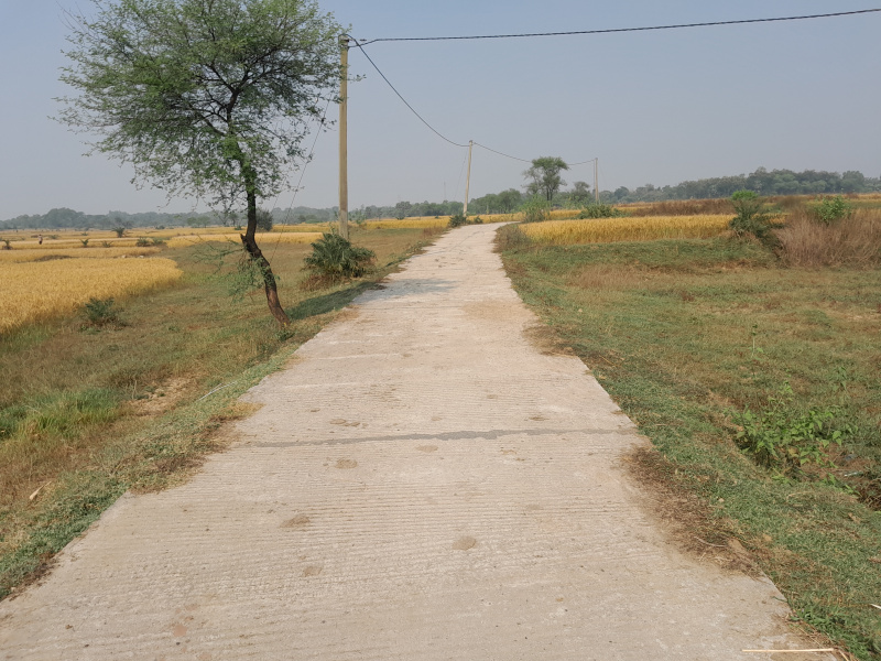  15 Bigha Residential Plot for Sale in Indpur, Bankura