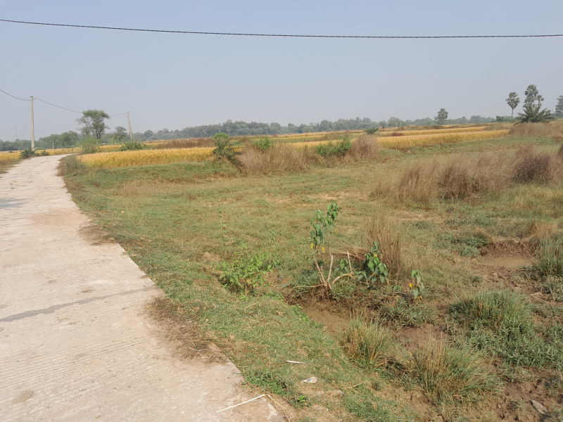  15 Bigha Residential Plot for Sale in Indpur, Bankura