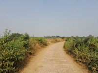  Agricultural Land for Sale in Beliatore, Bankura
