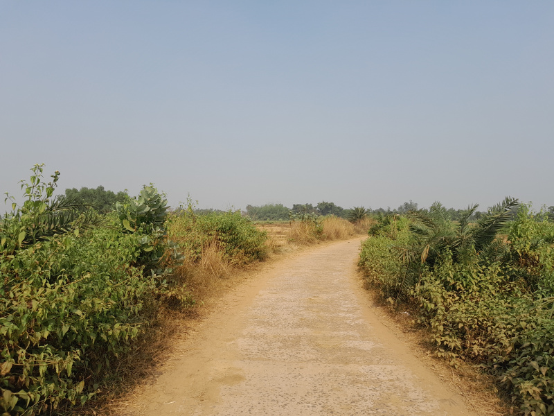  25 Bigha Agricultural/Farm Land for Sale in Beliatore, Bankura