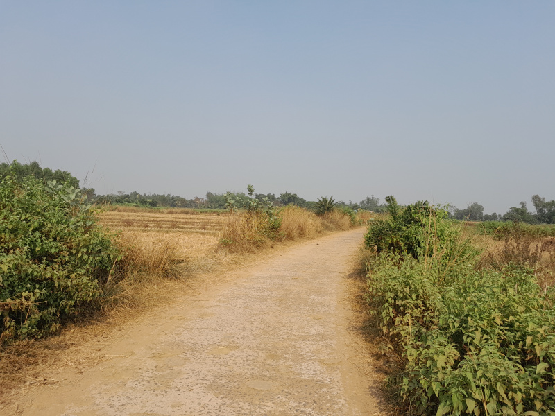  25 Bigha Agricultural/Farm Land for Sale in Beliatore, Bankura