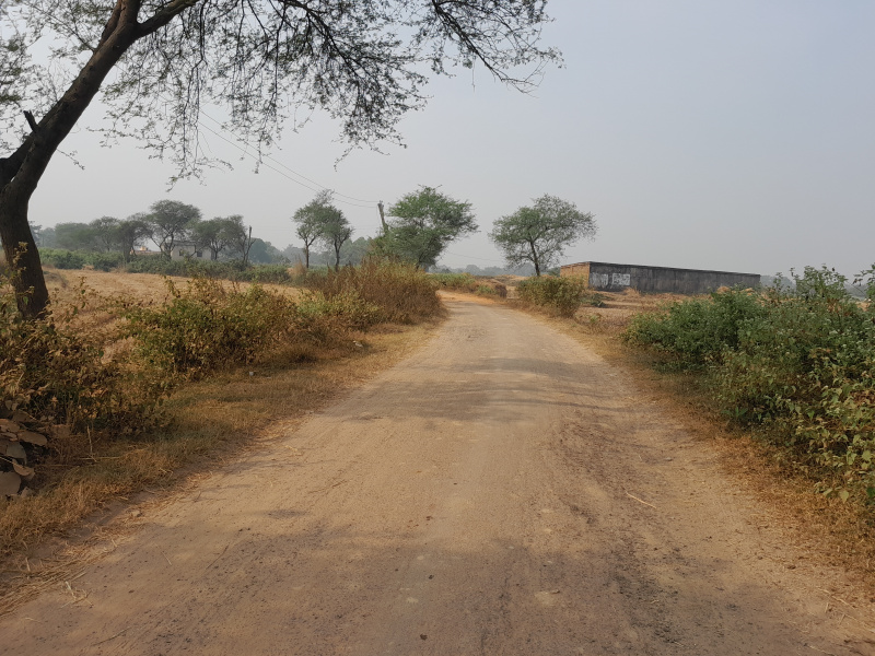  50 Bigha Agricultural/Farm Land for Sale in Ondagram, Bankura