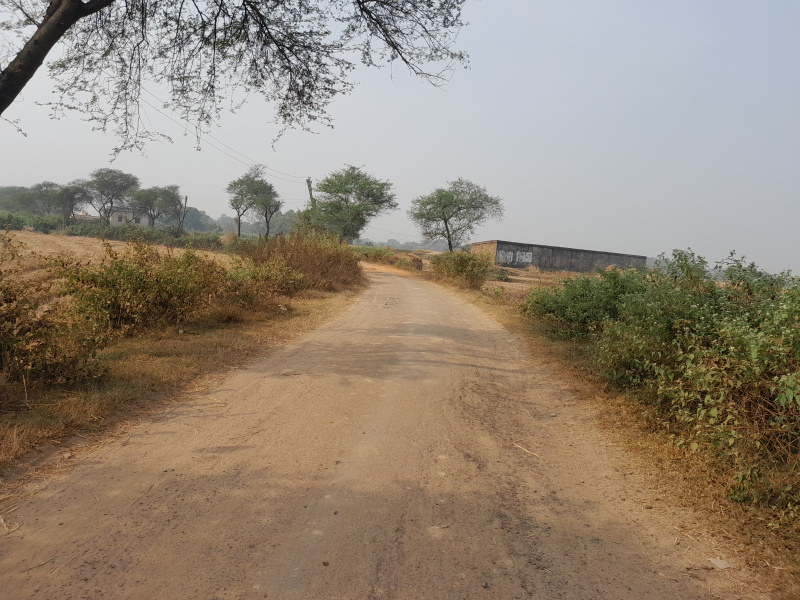  50 Bigha Agricultural/Farm Land for Sale in Ondagram, Bankura