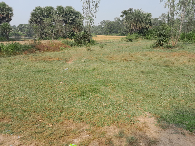  25 Bigha Agricultural/Farm Land for Sale in Gangajalghati, Bankura