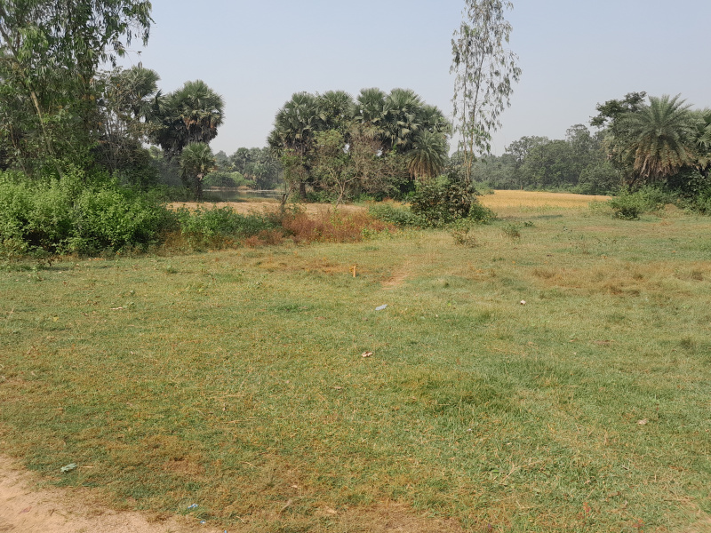  25 Bigha Agricultural/Farm Land for Sale in Gangajalghati, Bankura