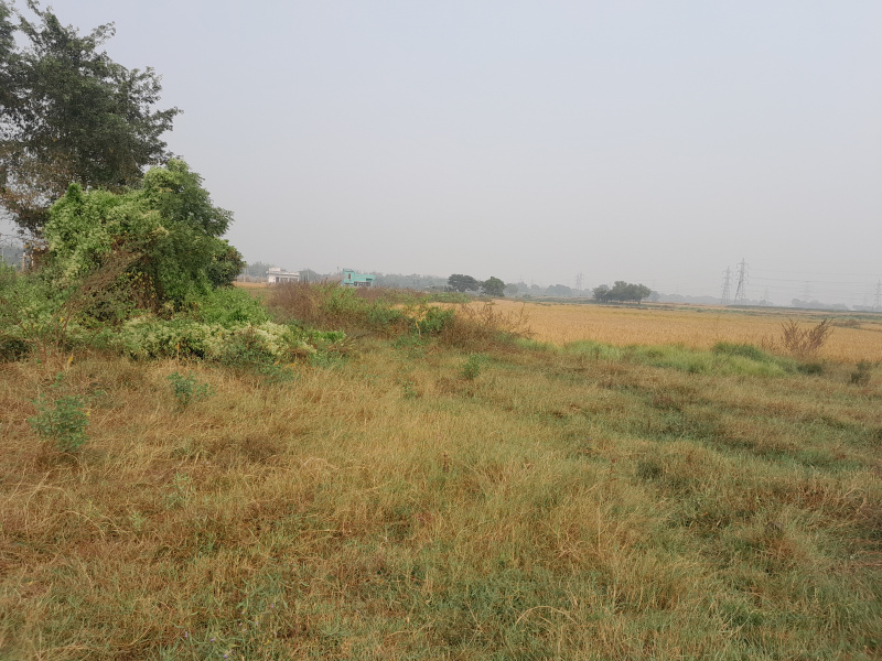  30 Bigha Residential Plot for Sale in Bidhannagar, Durgapur