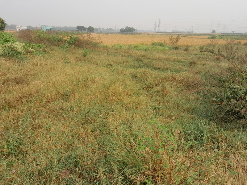  30 Bigha Residential Plot for Sale in Bidhannagar, Durgapur