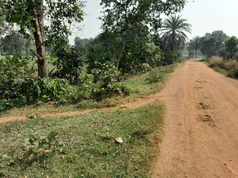  25 Bigha Agricultural/Farm Land for Sale in Gangajalghati, Bankura