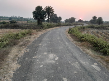  Agricultural Land for Sale in Chhatna, Bankura